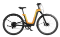 Carbon Fusion GT E-Bike