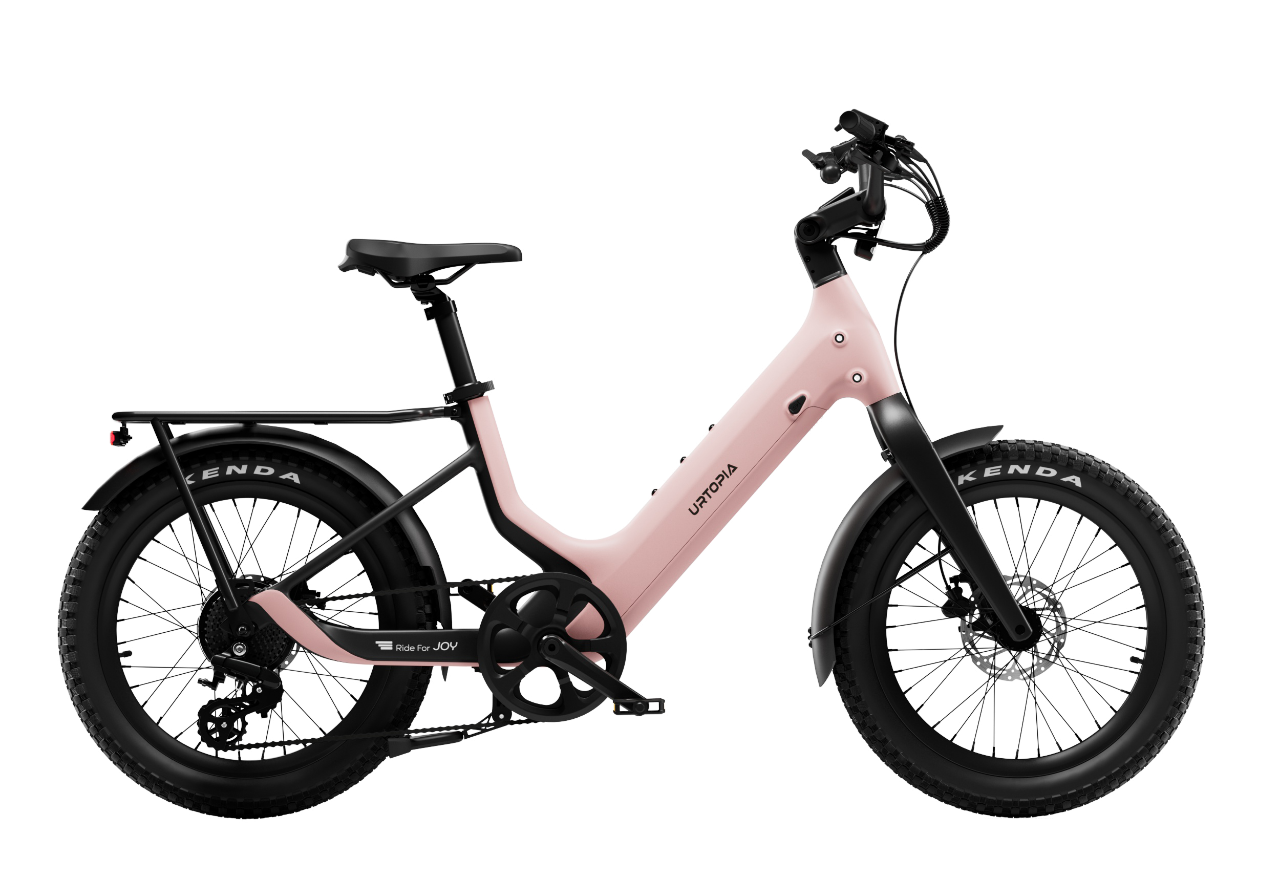 Carbon Joy Ultra E-Bike