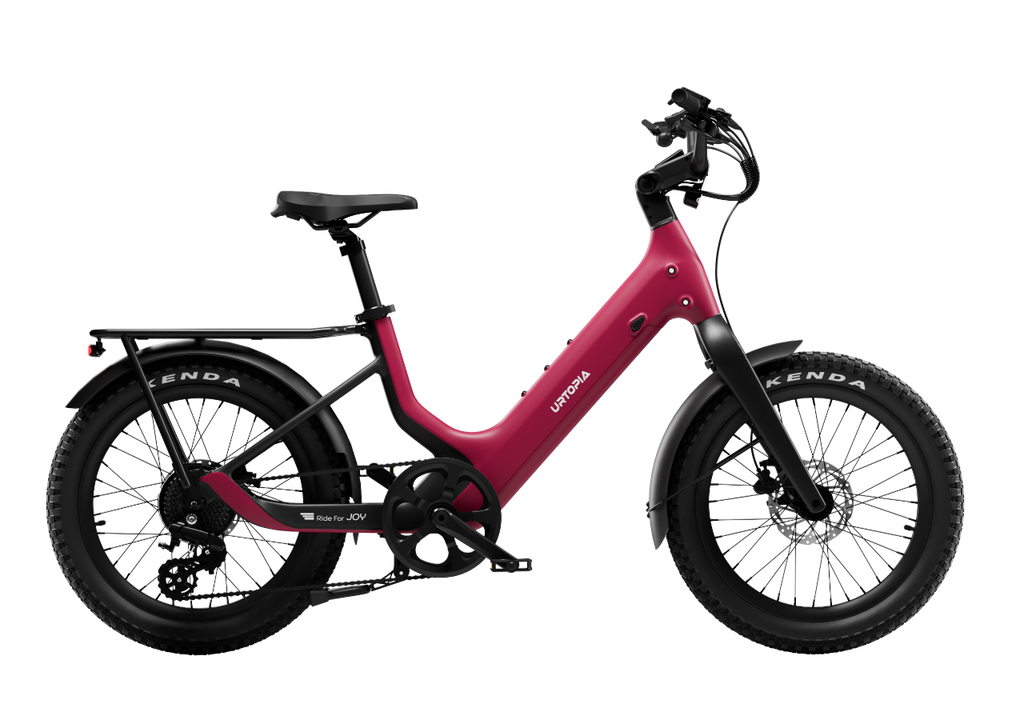Carbon Joy Ultra E-Bike