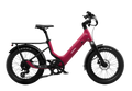 Carbon Joy Ultra E-Bike