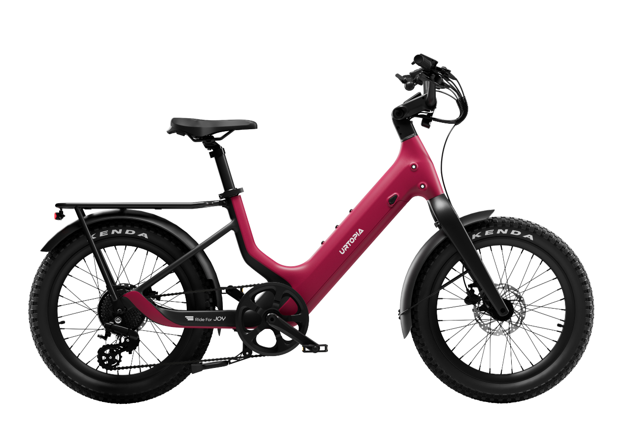 Carbon Joy Ultra E-Bike