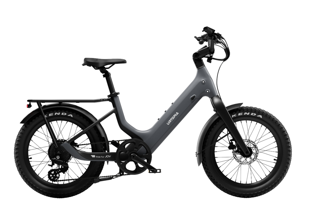 Carbon Joy Ultra E-Bike